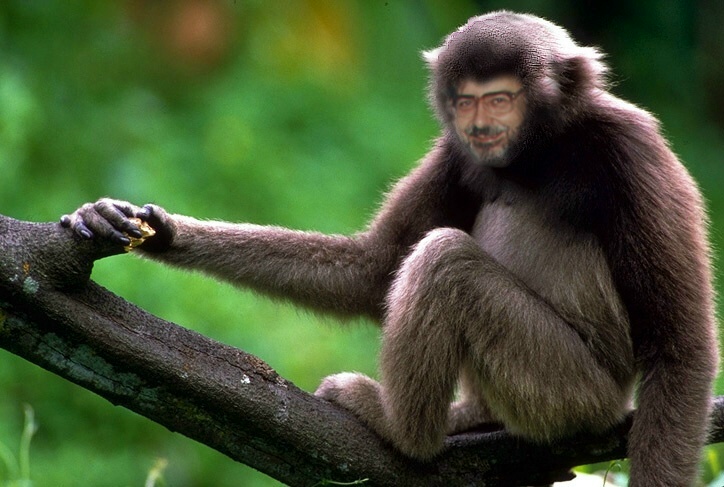 Я - обезьяна